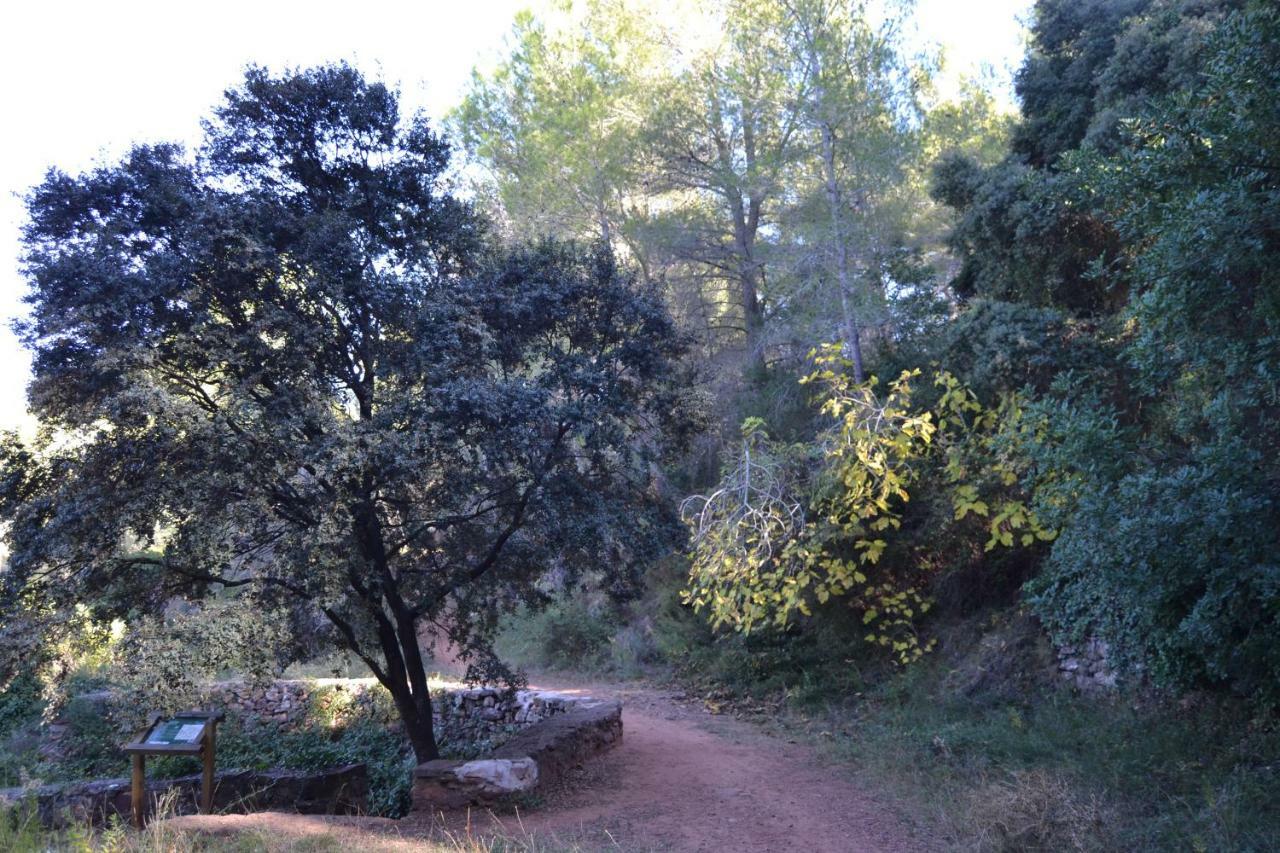 Appartement La Coveta Rural à Vilafamés Extérieur photo